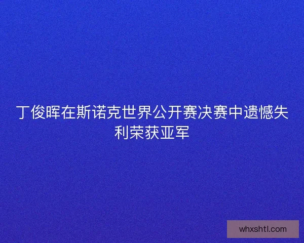 丁俊晖在斯诺克世界公开赛决赛中遗憾失利荣获亚军