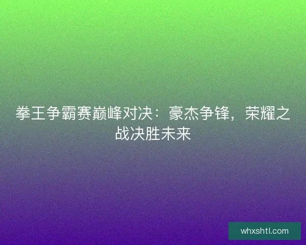 拳王争霸赛巅峰对决：豪杰争锋，荣耀之战决胜未来